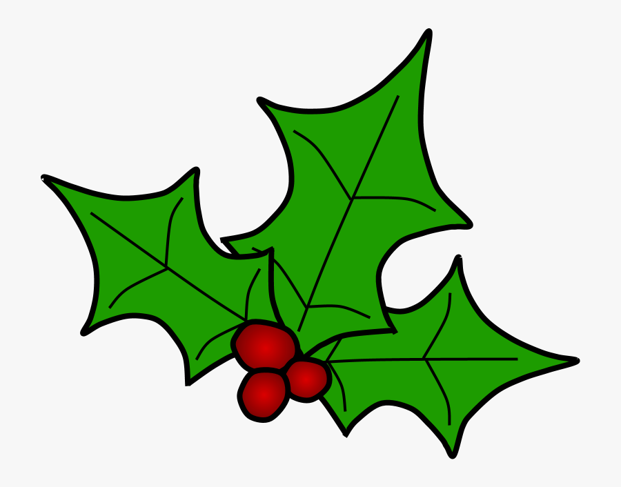 Holly, Berries, Leaves Spread, Green, - Portable Network Graphics, Transparent Clipart