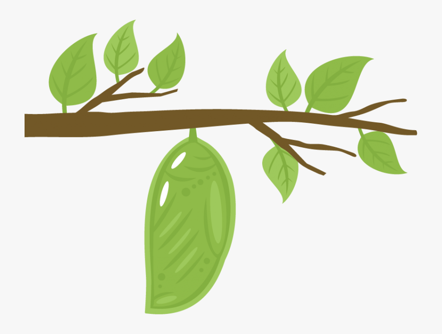 Free Cocoon Clipart - Very Hungry Caterpillar Butterfly Clipart, Transparent Clipart
