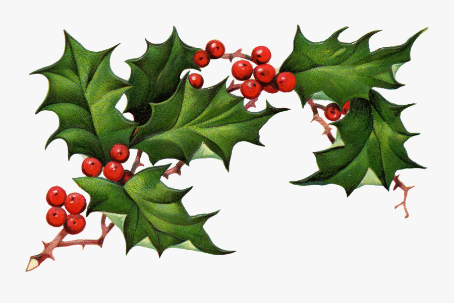 Vintage Holly Clipart Clipart Kid - Transparent Holly Png, Transparent Clipart