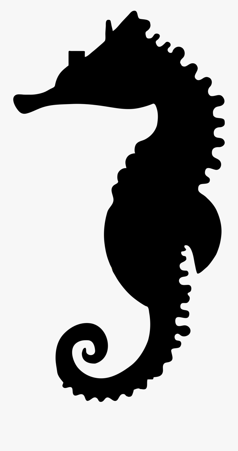Seahorse Silhouette - Sea Horse Silhouette Png, Transparent Clipart