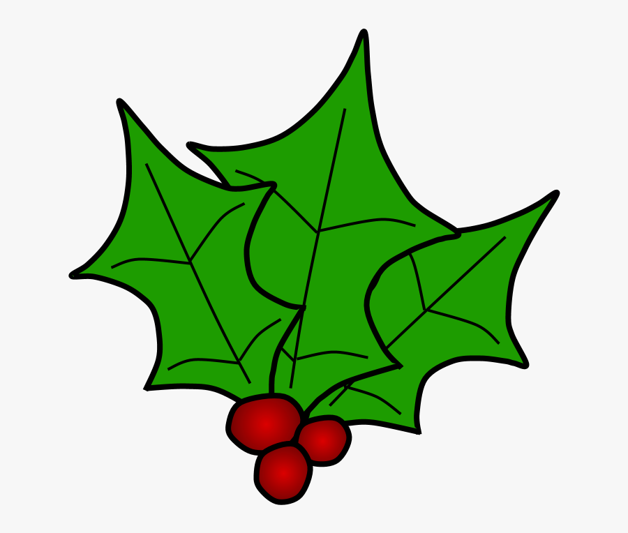 Holly, Berries, Leaves Together, Green, Transparent Clipart