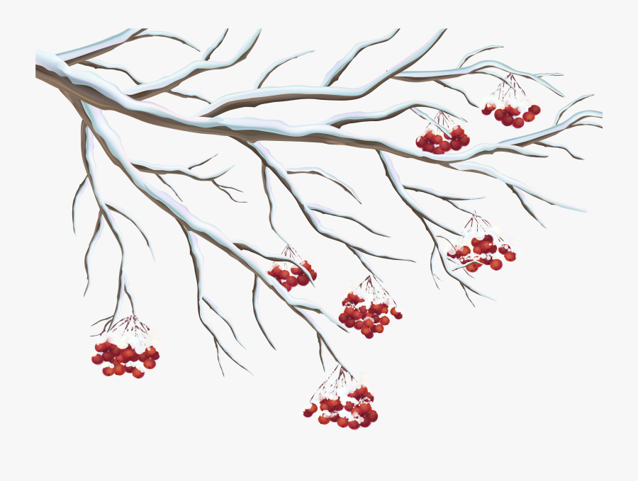 Transparent Holly Clip Art - Transparent Snow Branches Png, Transparent Clipart