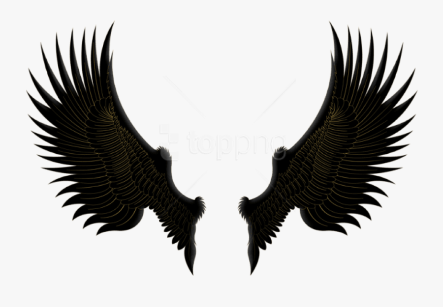 Free Png Download Black Gold Wings Clipart Png Photo - Png Wings Golden, Transparent Clipart