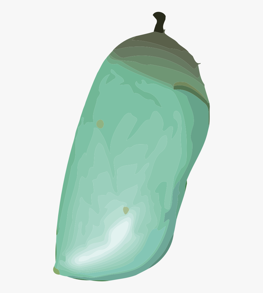 Clipart - Butterfly Cocoon Png, Transparent Clipart