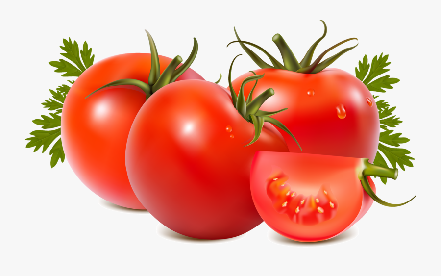 Tomato And Kidney Stone Everyday Life - Tomato Png, Transparent Clipart