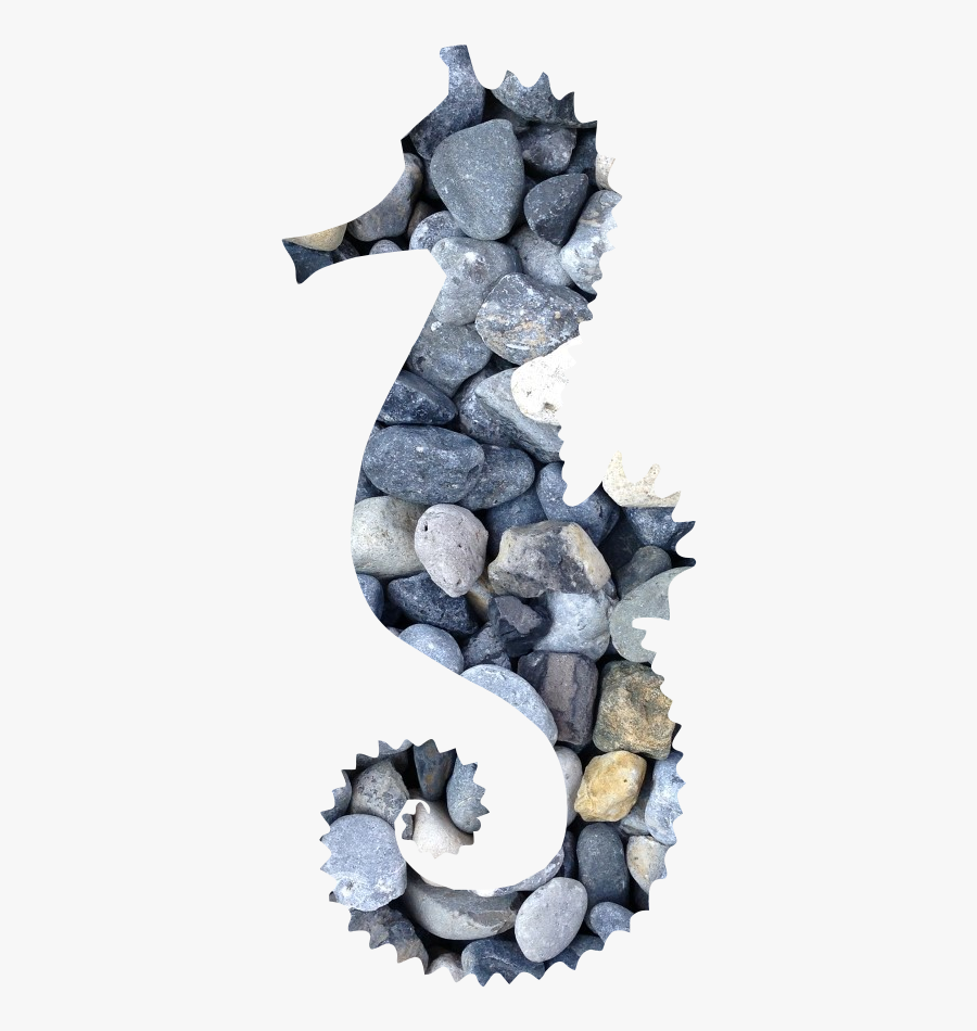 Northern Seahorse, Transparent Clipart