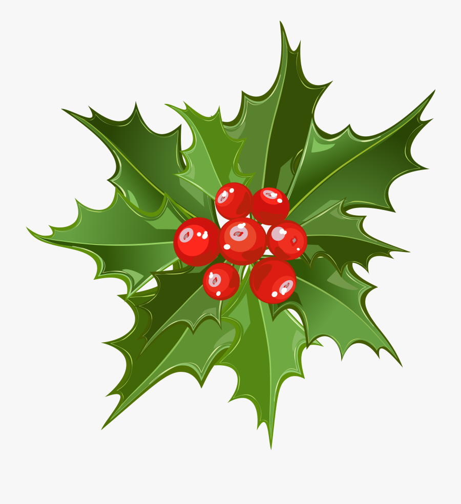 Mistletoe Art, Transparent Clipart