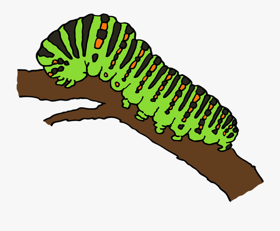 Caterpillar Clipart, Transparent Clipart