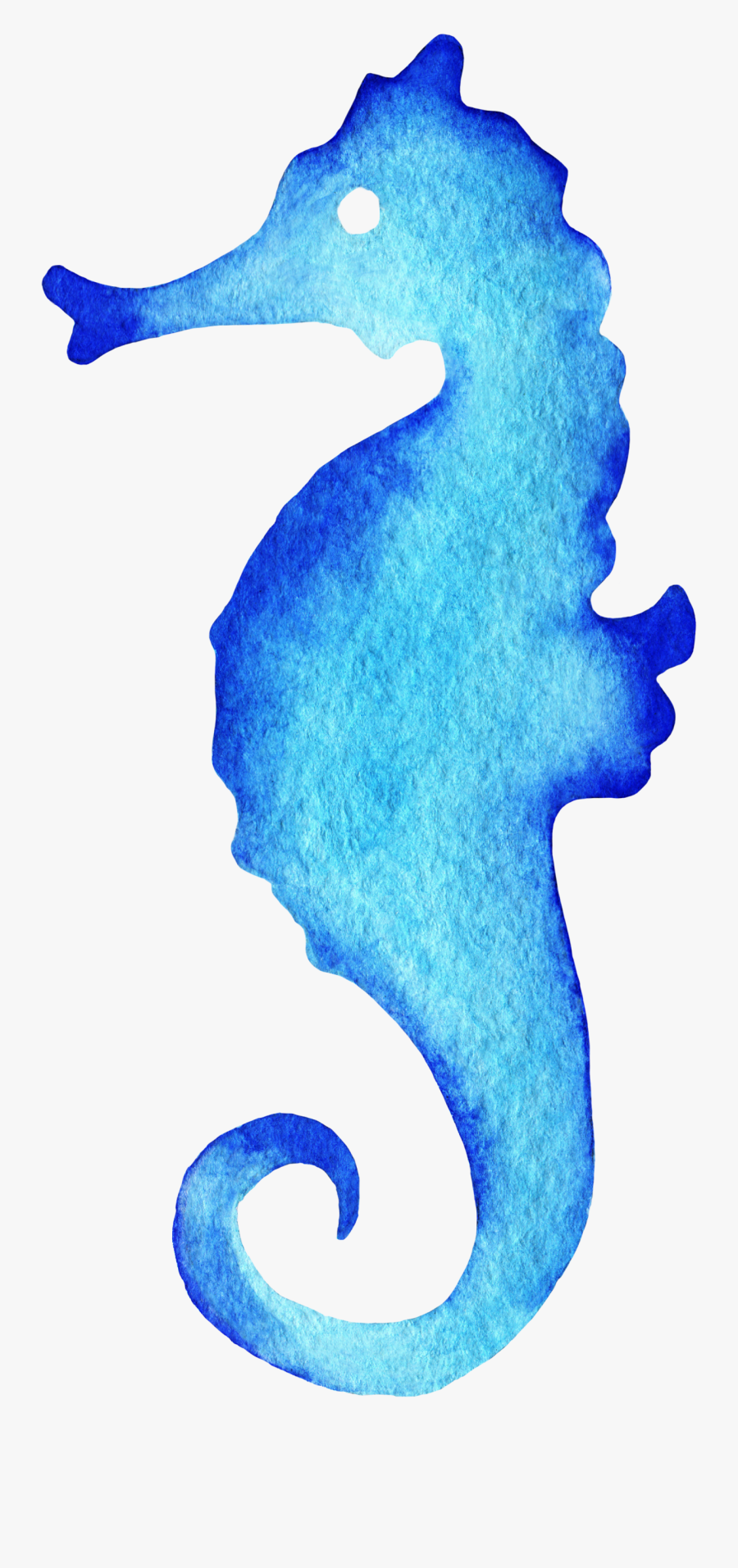 Seahorse Watercolor Painting Drawing, Transparent Clipart