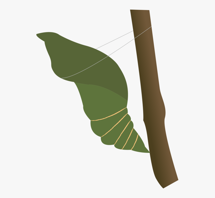 Caterpillar Clipart Cocoon - 蝶 の さなぎ イラスト, Transparent Clipart