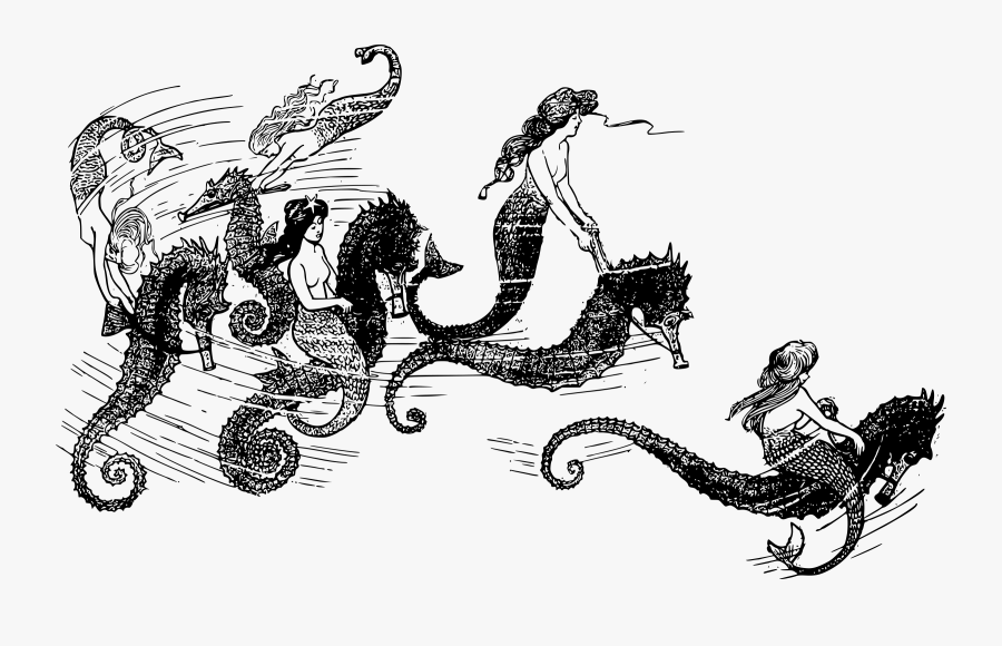 Fiction,chariot,art - Mermaid, Transparent Clipart