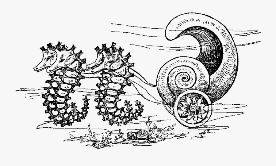 Seahorse Carriage Clipart Png - Illustration, Transparent Clipart