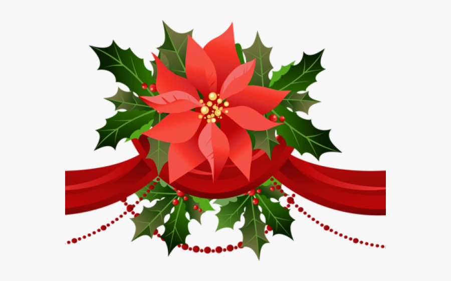 Poinsettia Clipart, Transparent Clipart