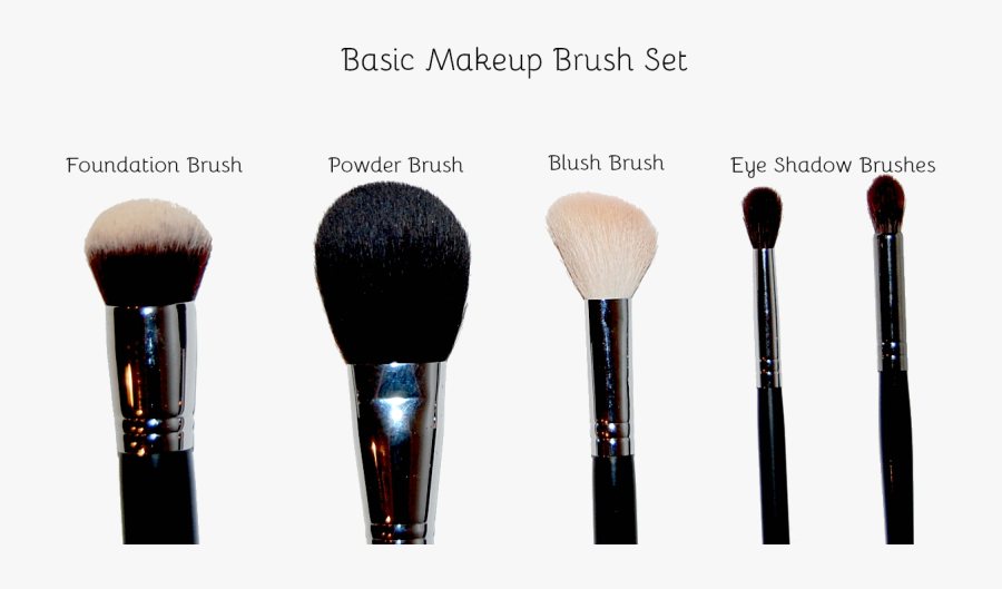 These Are The Very Bare Bones Necessities When It Comes - Makeup Brushes, Transparent Clipart