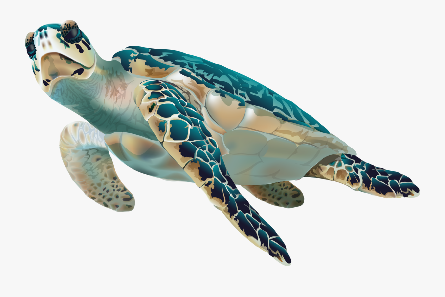 Sea Turtle Transparent Clip Art Image - Sea Turtle Transparent Background, Transparent Clipart