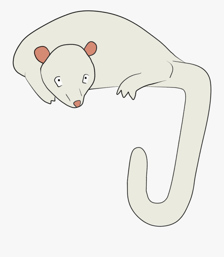 Rat, Transparent Clipart