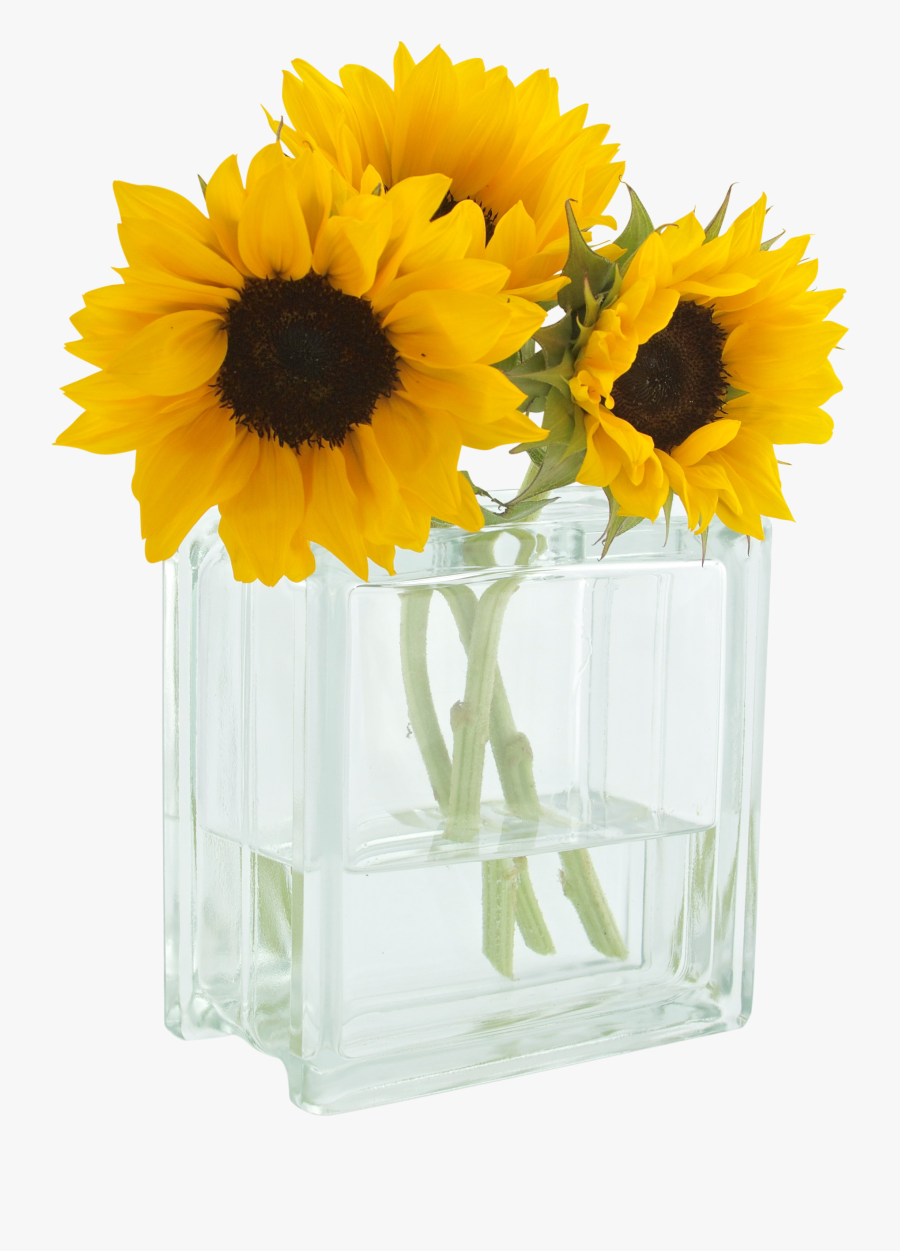 You Are My Sunshine - Good Morning Monday Flower, Transparent Clipart