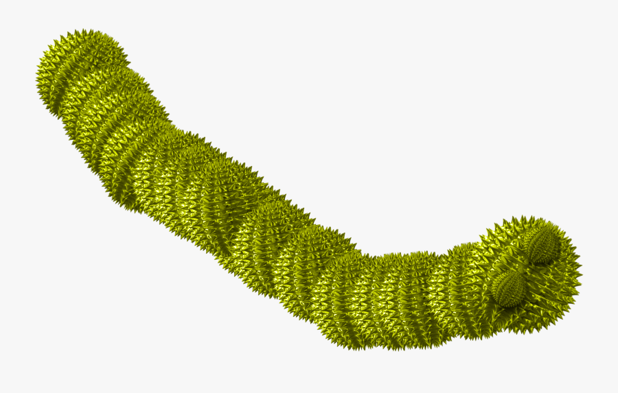 Worm Virus Computer Worm Png, Transparent Clipart