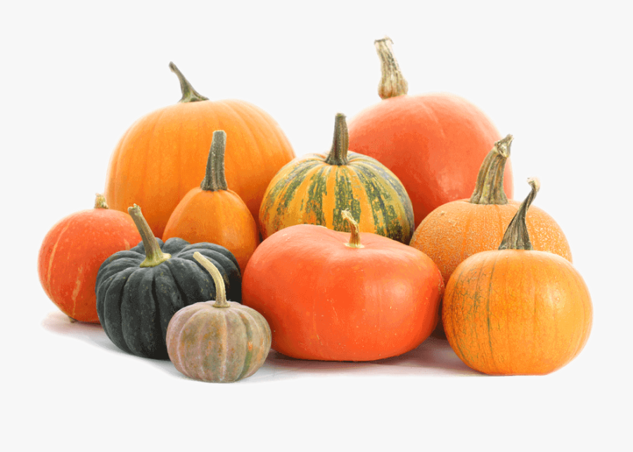 Pumpkin Patch Png - Pumpkin Png, Transparent Clipart