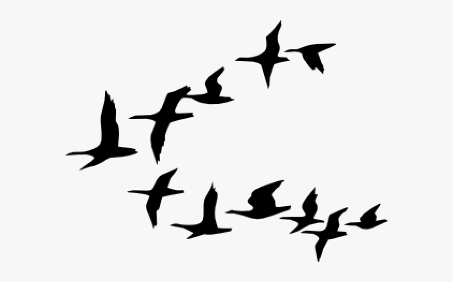 Flock Of Birds Clipart, Transparent Clipart