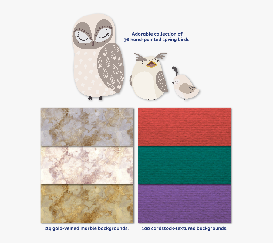 Owl, Transparent Clipart