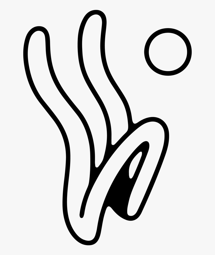 Protomartyr W Daguerreotype Dasher, Transparent Clipart