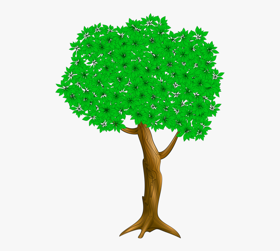 I Had A Little Nut Tree Nursery Rhyme Nutmeg - I Had A Little Nut Tree, Transparent Clipart