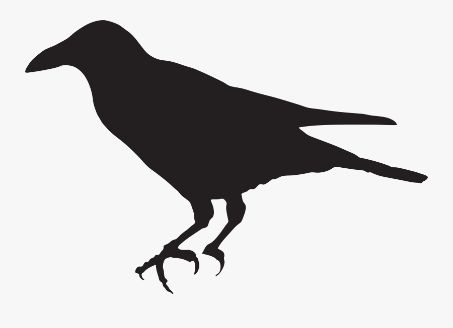 Crow, Transparent Clipart