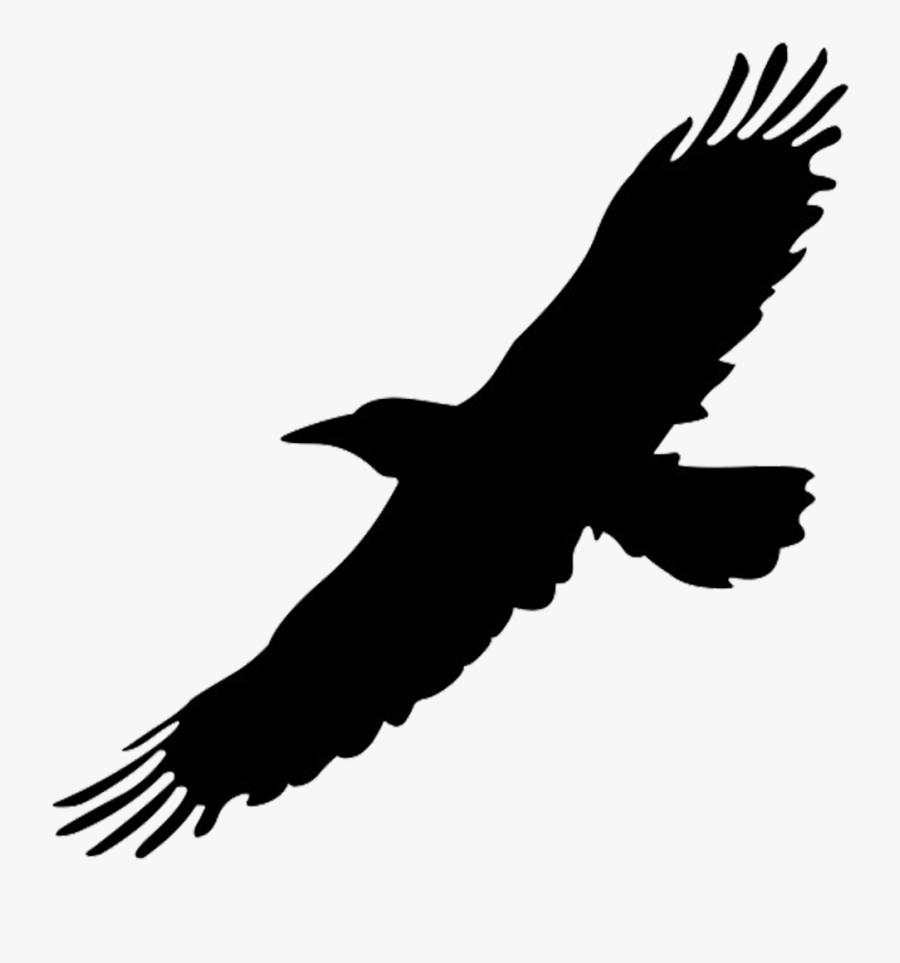 Black Flying Bird Png Clipart , Png Download - Flying Bird Silhouette Clipart, Transparent Clipart