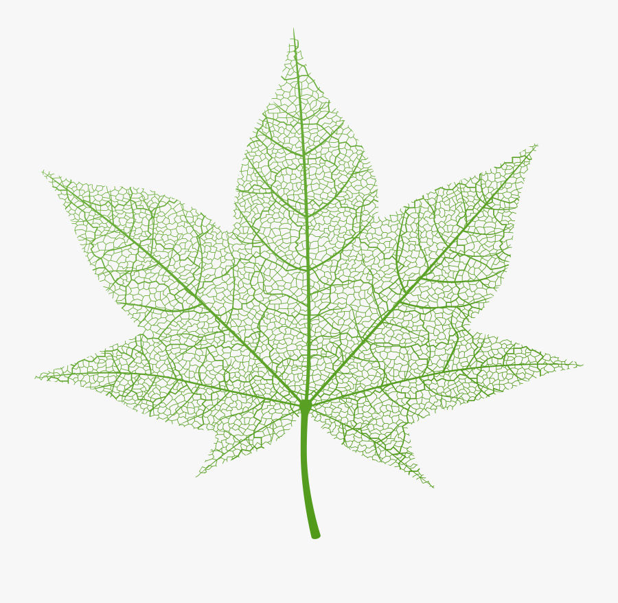 Transparent Green Autumn Leaf Png Clip Art Image - Transparent Background Fall Leaves Png, Transparent Clipart
