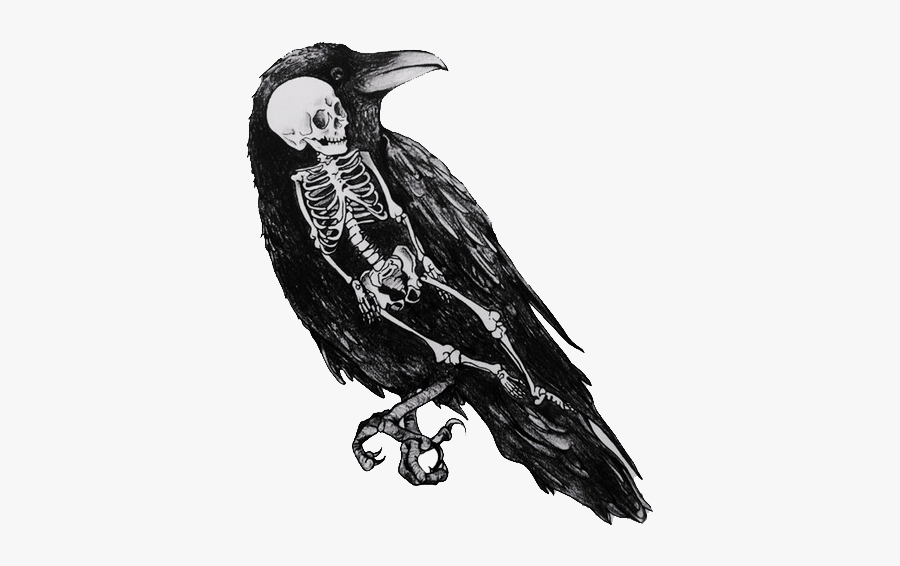 Clip Art The Crow Wondered How - Crow Black And White, Transparent Clipart