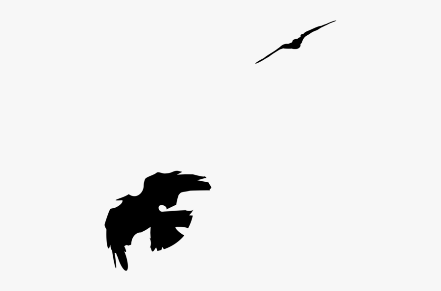 Silhouette,water Bird,crane Like Bird - Common Raven, Transparent Clipart