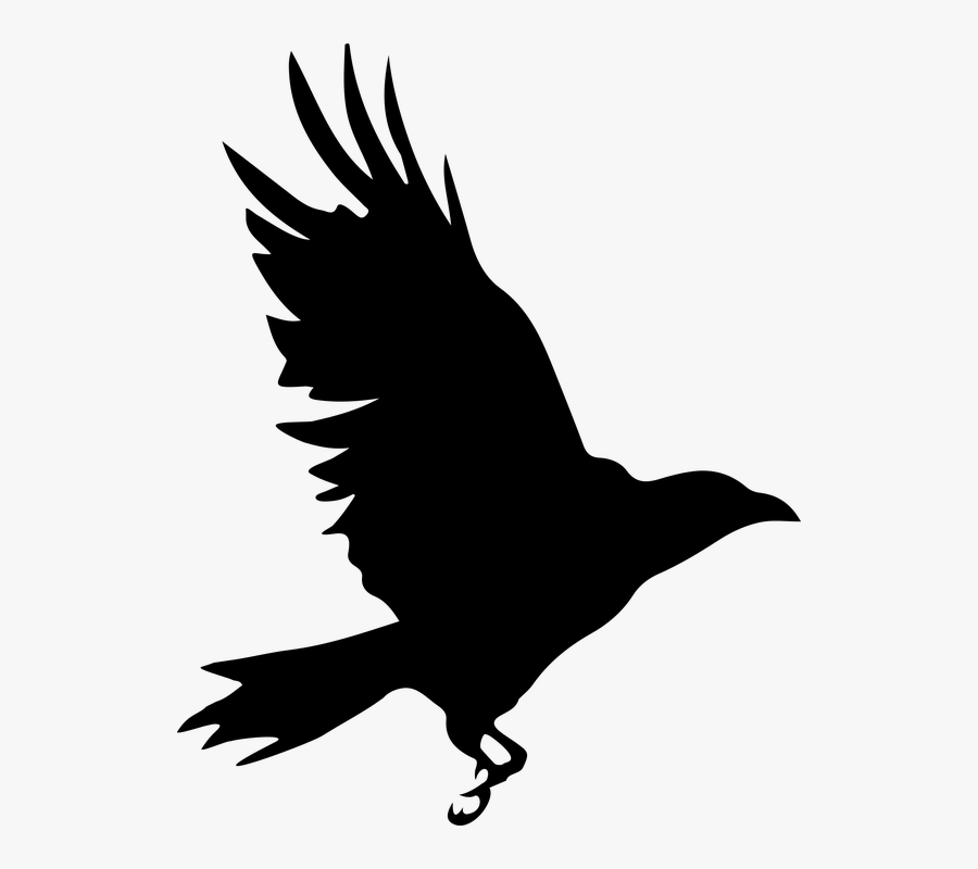 Raven Clipart Raptor Bird - Silueta Cuervo Png, Transparent Clipart