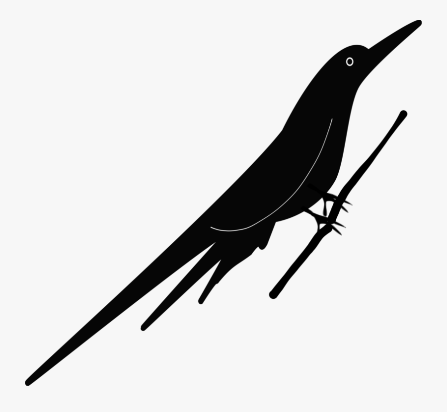 Line,bird,beak - Drawing, Transparent Clipart