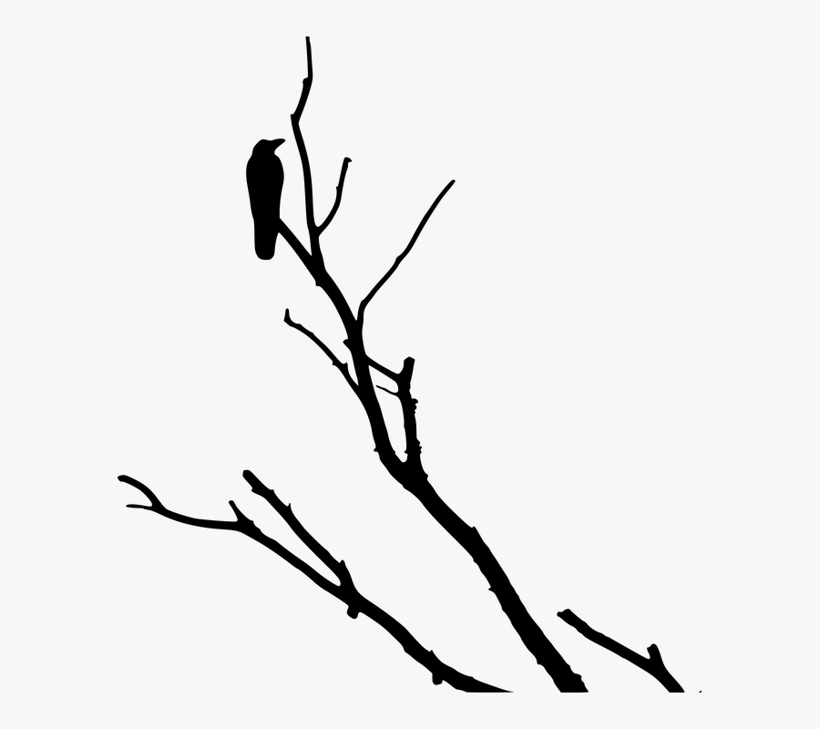 Crow, Raven, Silhouette, Tree - Crow On The Tree, Transparent Clipart