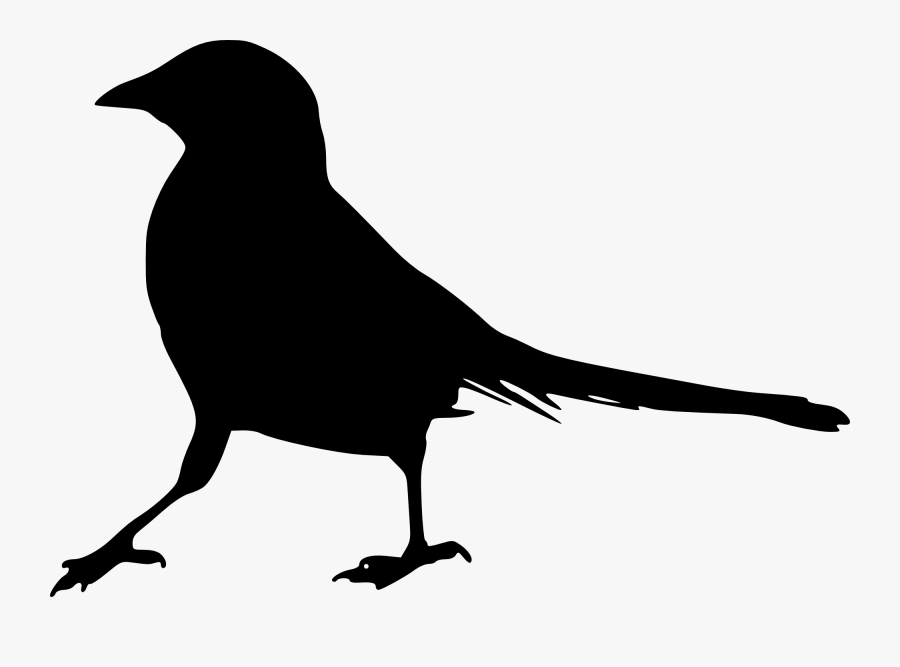Bird Logo Png Transparent Background, Transparent Clipart