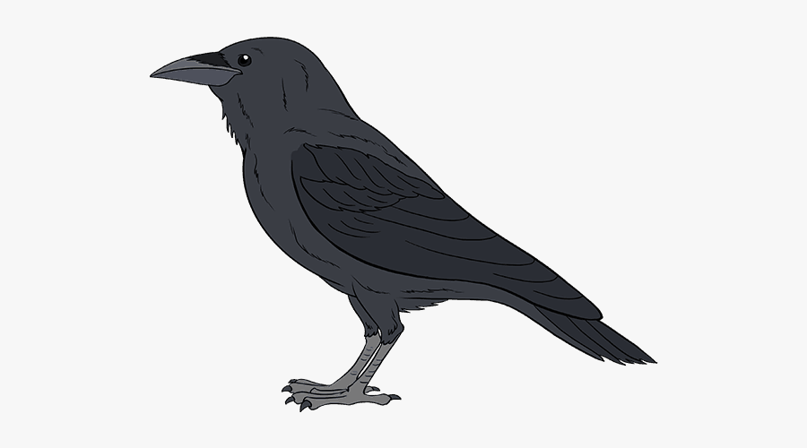 How To Draw Raven - Black Crow Bird, Transparent Clipart