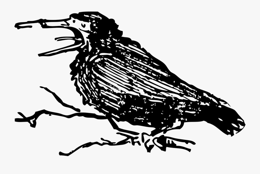 Art,monochrome Photography,artwork - Caw Bird, Transparent Clipart