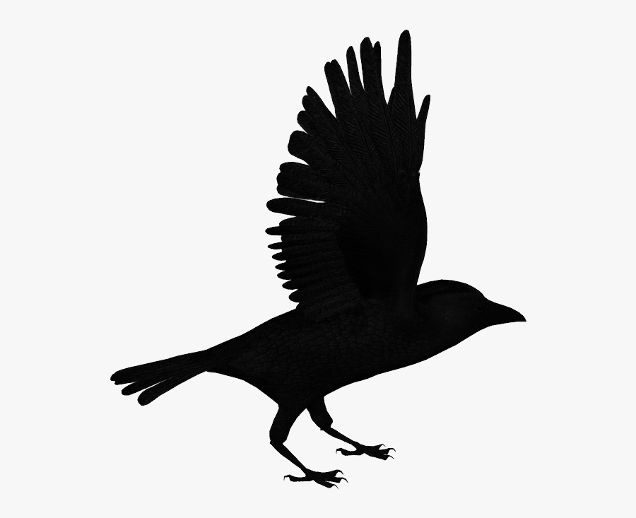 71378 - Вороны Арт Png, Transparent Clipart