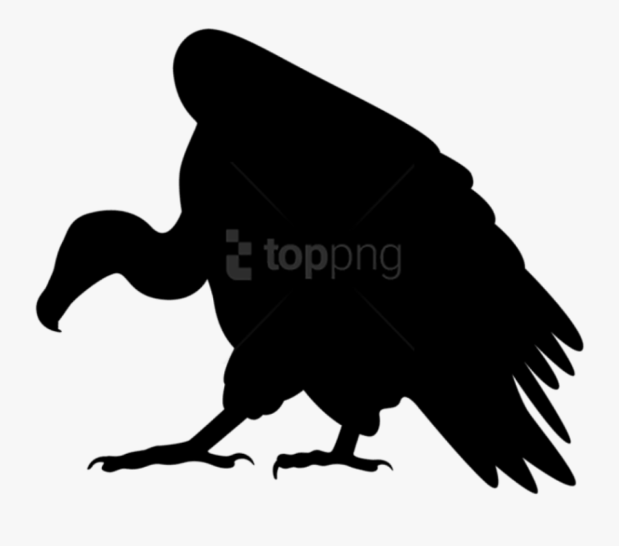 Vulture Silhouette Png Clip Art Image Viynl Design - Vulture Silhouette Png, Transparent Clipart