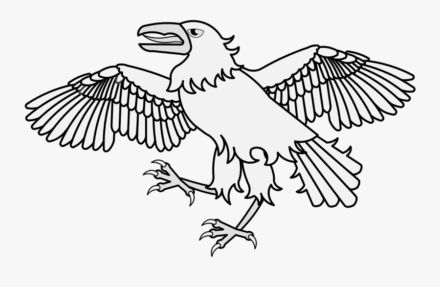 Hawk, Transparent Clipart