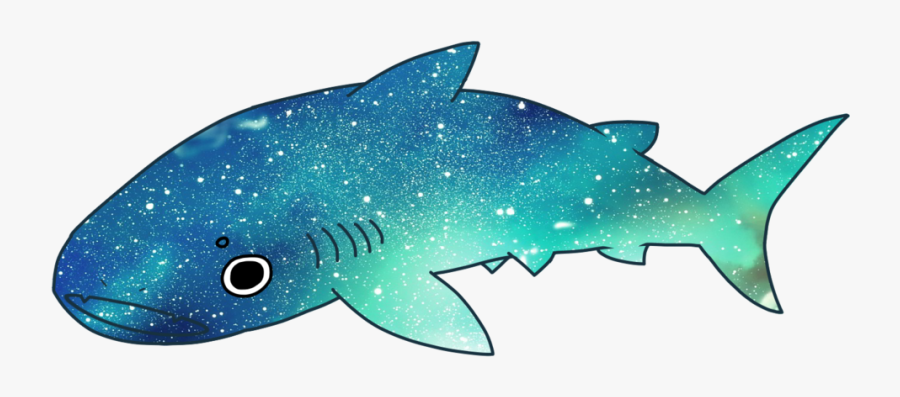 Squaliform Sharks Whale Shark Shark Tooth - Whale Shark Gif Transparent, Transparent Clipart