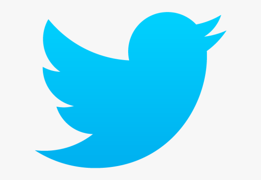 00pm Sunday Night Mass Is Our Youth Mass - Twitter Icon Hd Png, Transparent Clipart