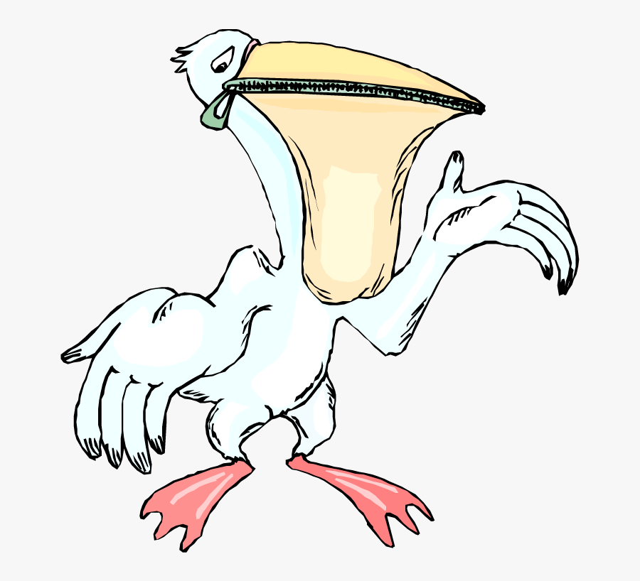 Free Pelican Feathers - Cartoon, Transparent Clipart