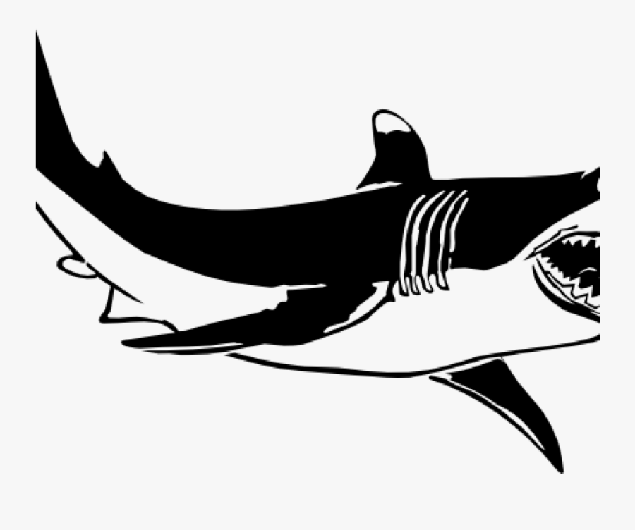 Transparent Smiling Shark Clipart - Shark Clipart, Transparent Clipart
