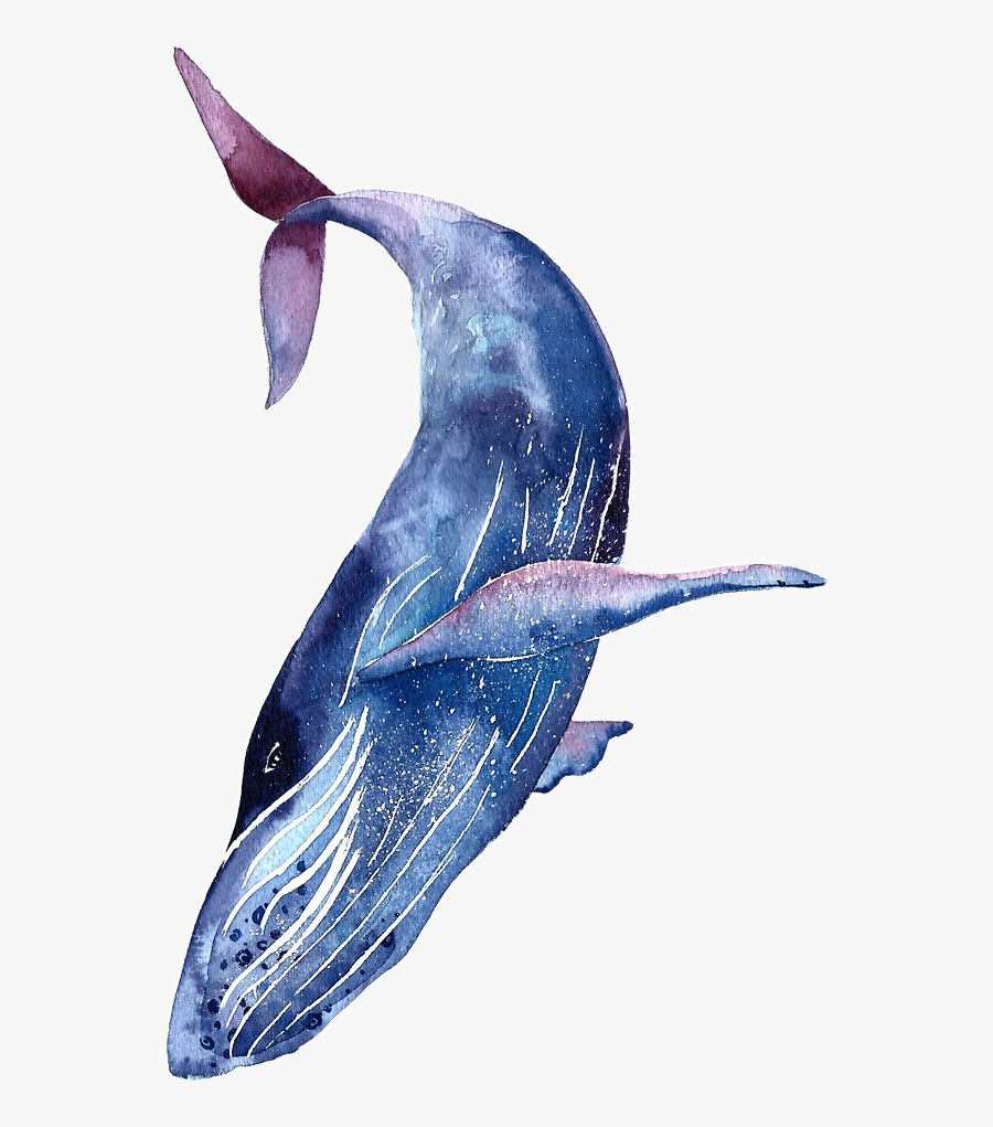 Whale Shark Tattoo Humpback Whale Blue Whale - Blue Whale Watercolor, Transparent Clipart