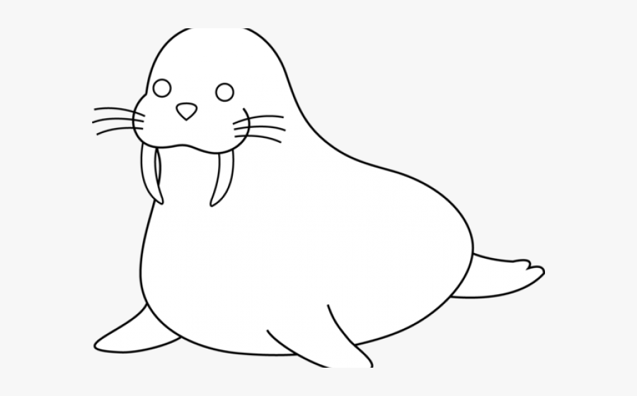 Antarctica Drawing Walrus - California Sea Lion, Transparent Clipart