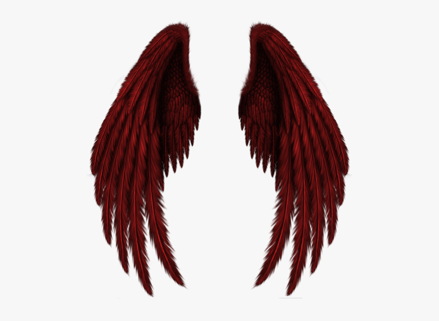 Angel Wings Clipart Castiel - Black Wings Transparent Background, Transparent Clipart
