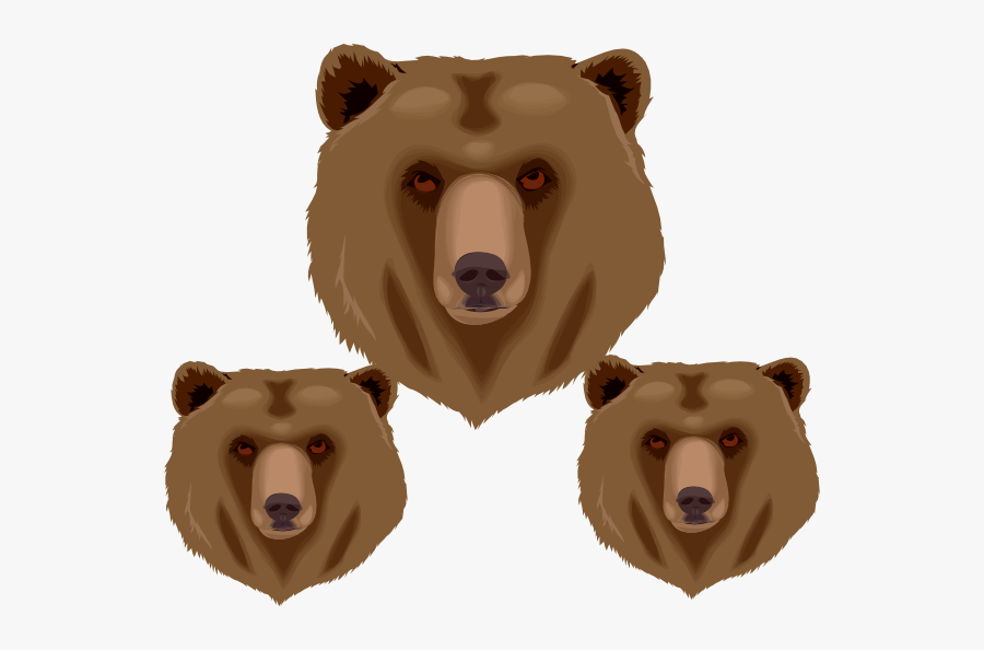 Face Of Bear, Transparent Clipart