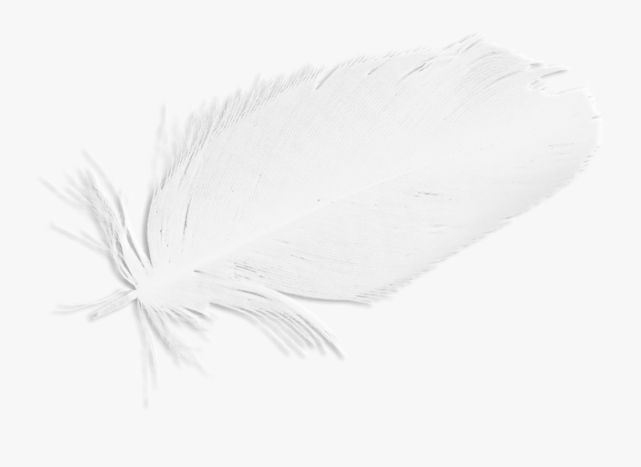 Naomi Supernatural Wings , Png Download - Supernatural, Transparent Clipart